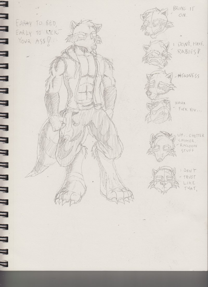 Raccoon Guy Sketch II.jpeg