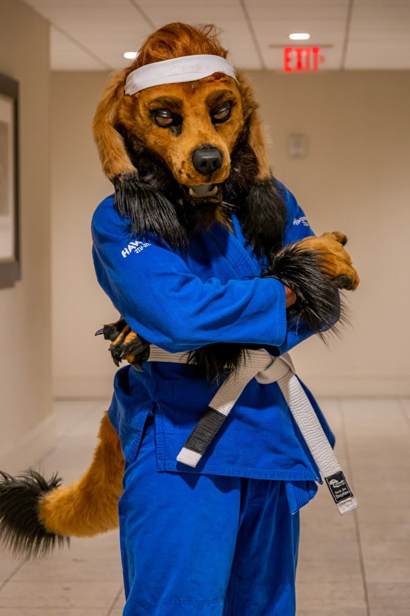 photo1684815765 (1).jpeg